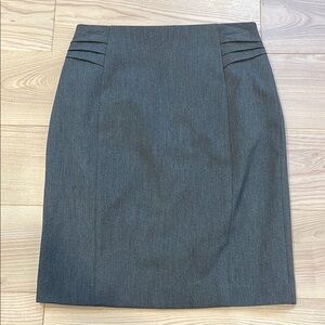 Express Pencil Skirt